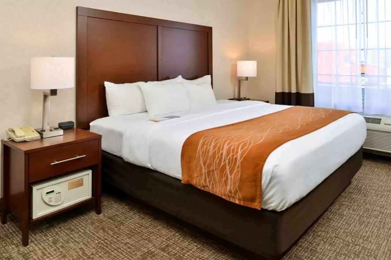 Comfort Inn & Suites Madison North Deforest Εξωτερικό φωτογραφία