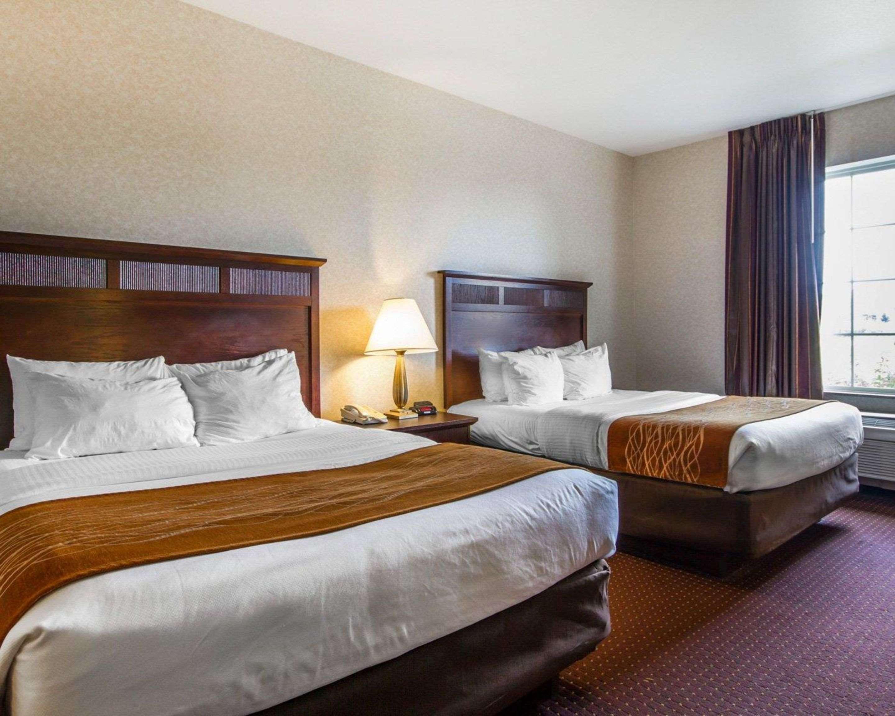 Comfort Inn & Suites Madison North Deforest Εξωτερικό φωτογραφία