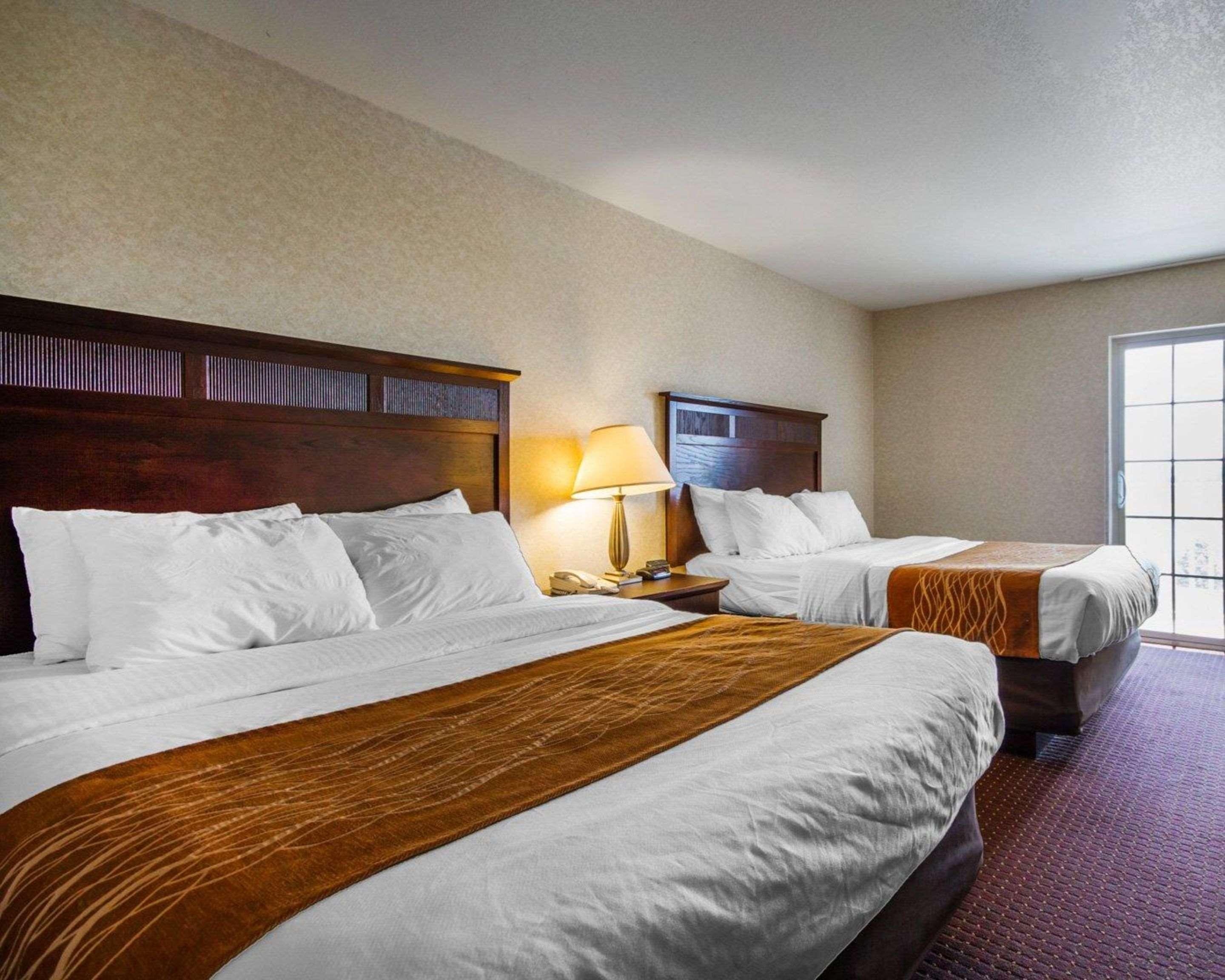 Comfort Inn & Suites Madison North Deforest Εξωτερικό φωτογραφία