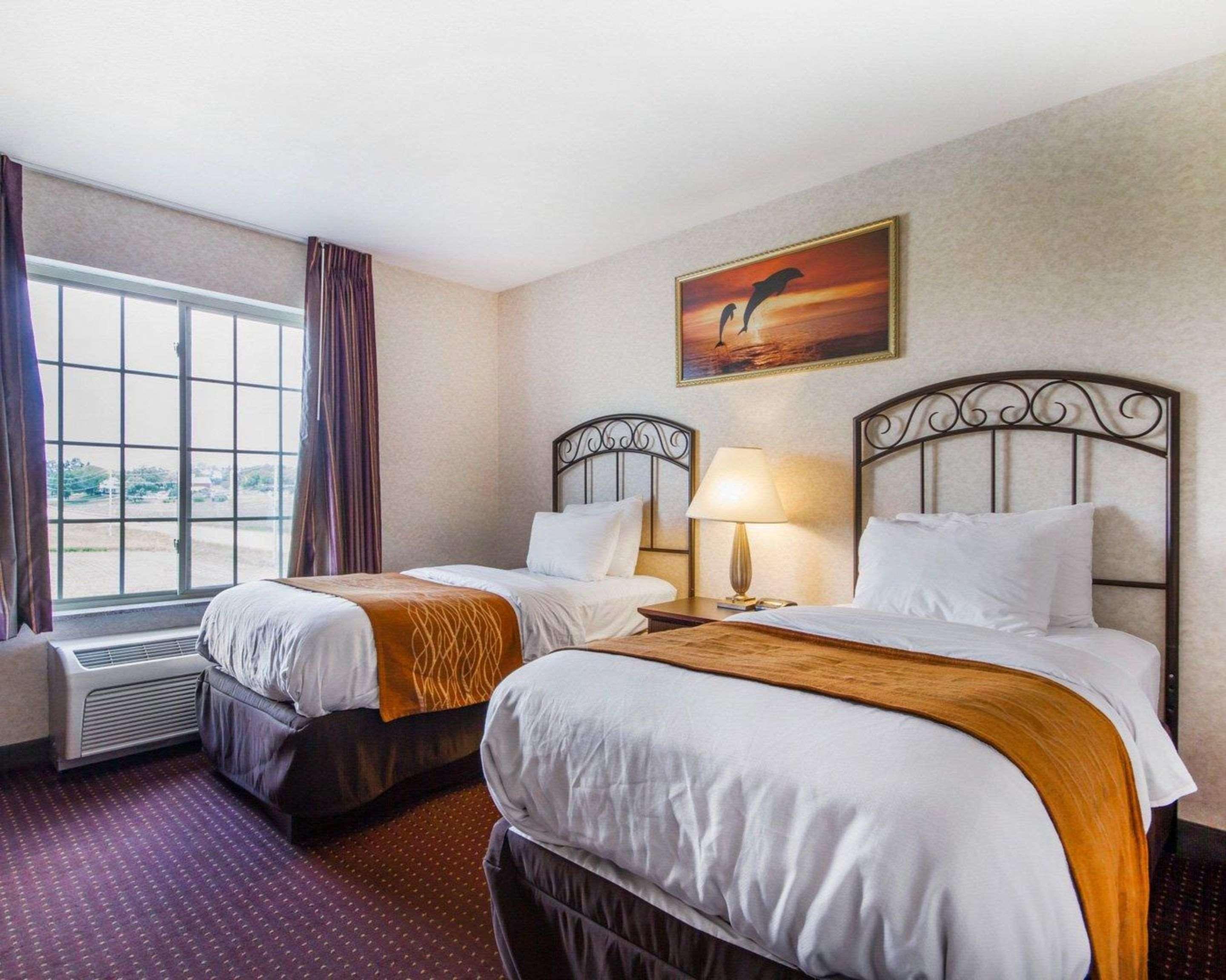 Comfort Inn & Suites Madison North Deforest Εξωτερικό φωτογραφία