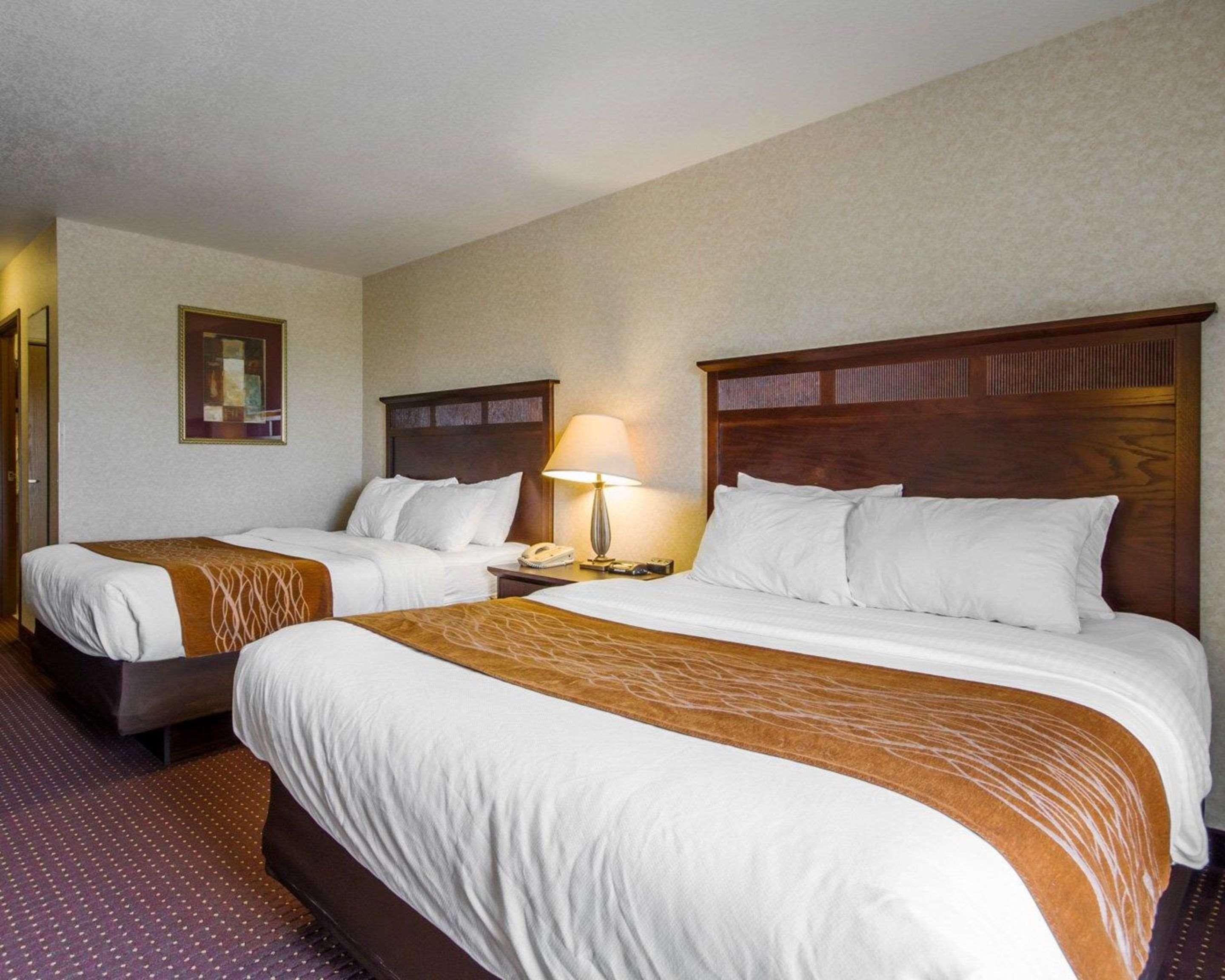Comfort Inn & Suites Madison North Deforest Εξωτερικό φωτογραφία